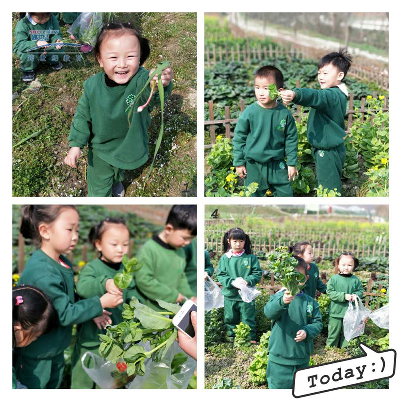 湖北南漳跨世紀幼兒園：幼兒園春季社會化主題活動—“尋找春天的足跡”