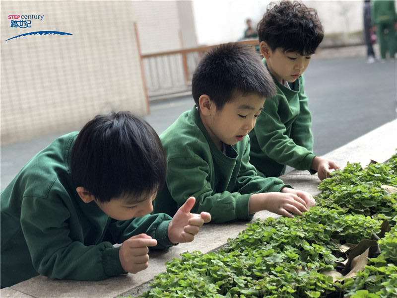 在體驗(yàn)中激發(fā)幼兒“愛(ài)護(hù)”環(huán)境的意識(shí)