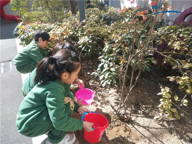 幼兒感恩心的培養(yǎng)，從愛護環(huán)境開始
