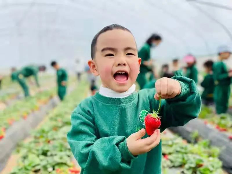 跨世紀(jì)教育幼兒園春游必看：孩子去哪了？