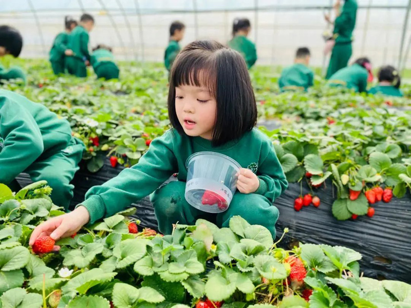 怎樣招聘，才能招到優(yōu)秀的幼兒園老師？