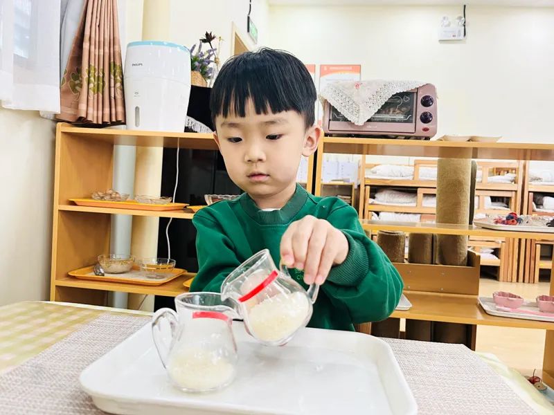 幼兒園聯(lián)盟失敗的原因有哪些？