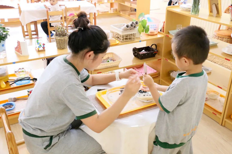幼兒園選擇聯(lián)盟跨世紀，你將擁有哪些？