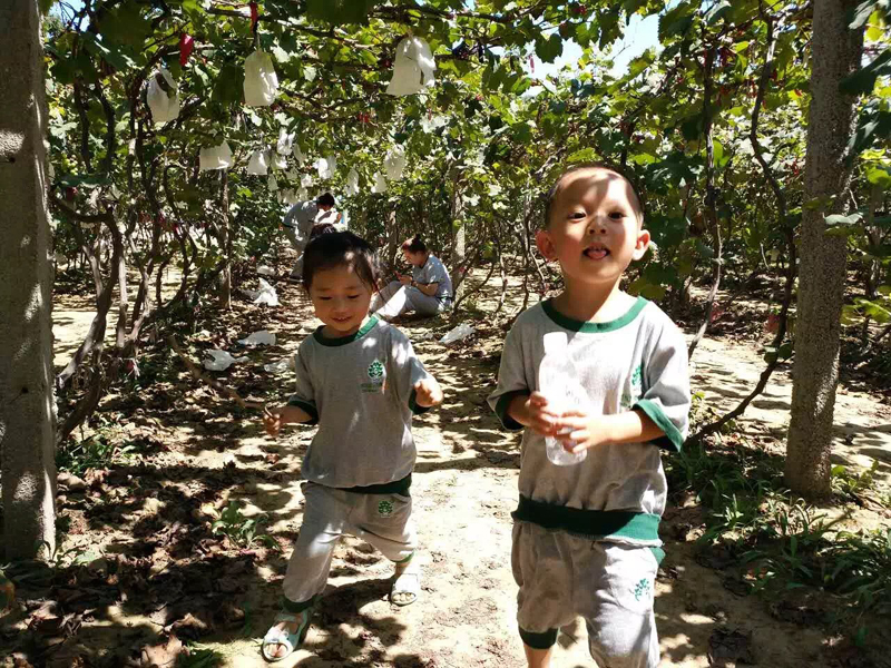 關于蒙特梭利幼兒園，你所不知道的事情