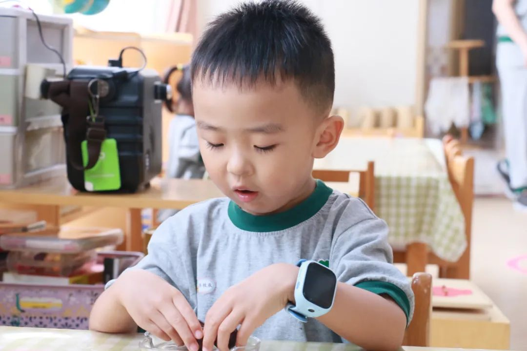 蒙氏教育：幼兒常規(guī)培養(yǎng)計劃攻略，讓蒙氏班秩序井然！
