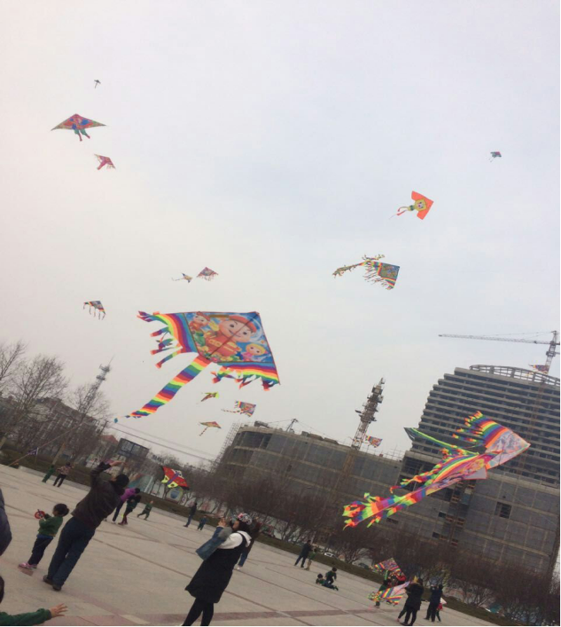 河北省邢臺縣隆堯縣樹人幼兒園：放飛夢想，感受春天409.png