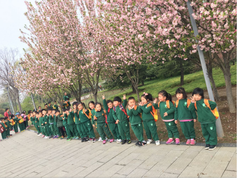 河南省魯山跨世紀(jì)幼兒園：“尋找春天的足跡”338.png