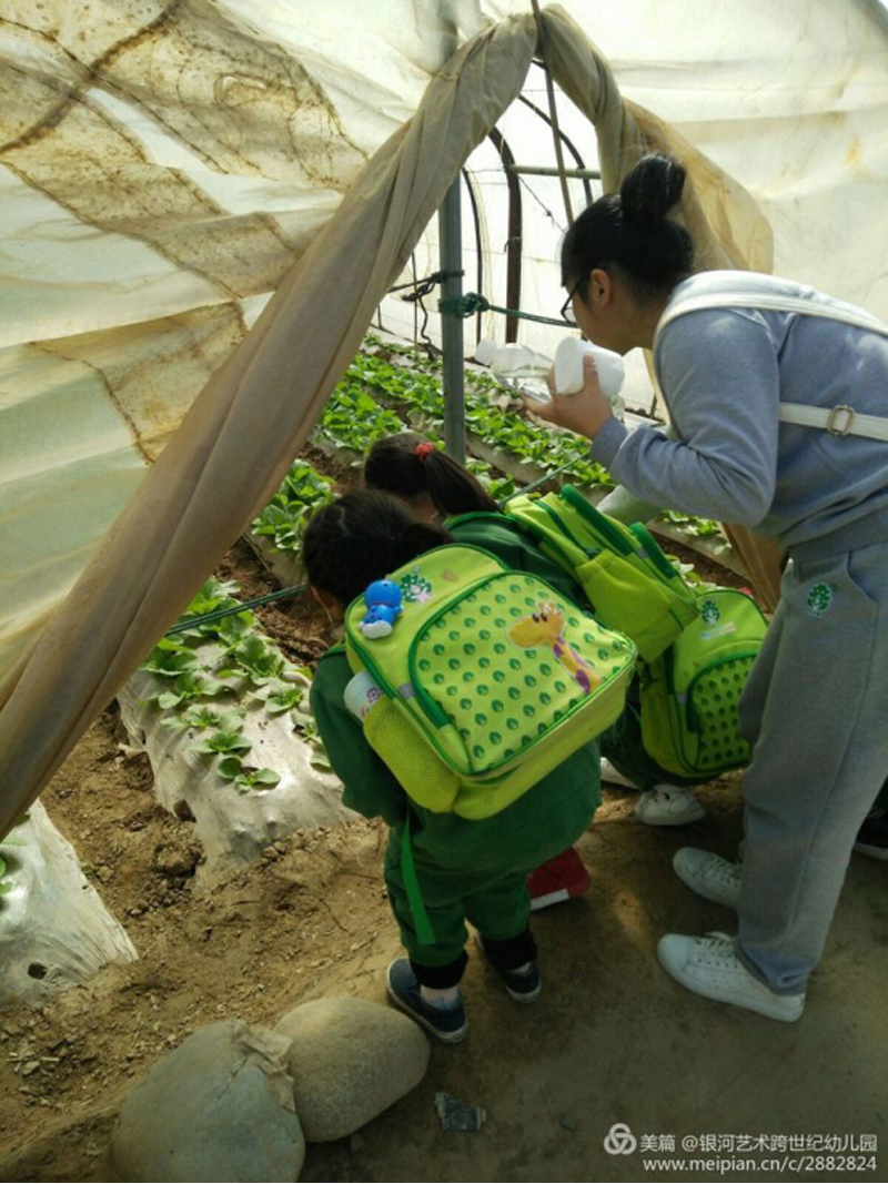 青海省銀河藝術(shù)跨世紀幼兒園：大家一起摘草莓797.png